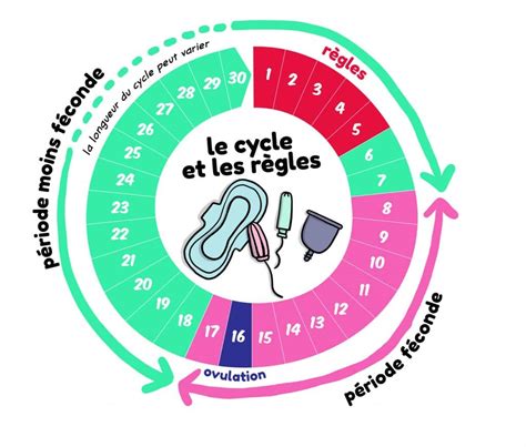 temps spermatozoide feconde ovule|Ovulation et fécondation : durée de vie des。